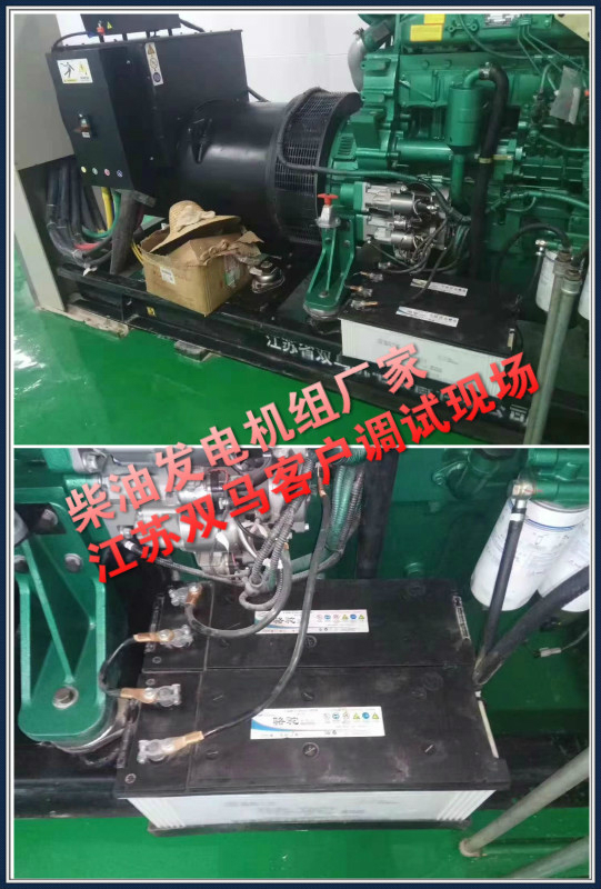 柴油發(fā)電機(jī)組廠家江蘇雙馬