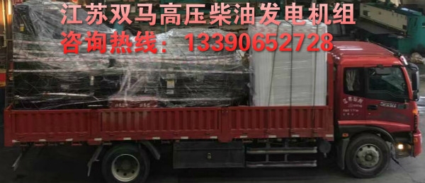 10KV高壓柴油發(fā)電機(jī)廠家江蘇雙馬