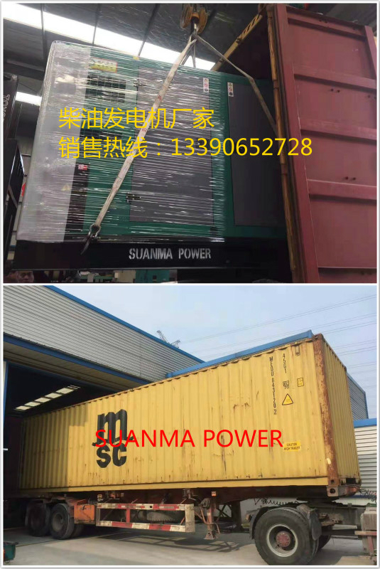 柴油發(fā)電機廠家雙馬
