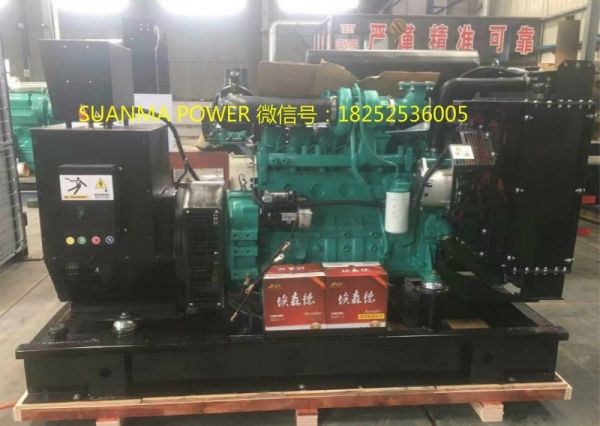 柴油發(fā)電機廠家雙馬微信號