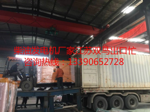 柴油發(fā)電機廠家江蘇雙馬出口裝柜