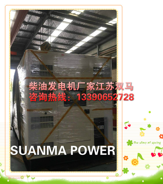 出口外貿(mào)柴油發(fā)電機廠家江蘇雙馬