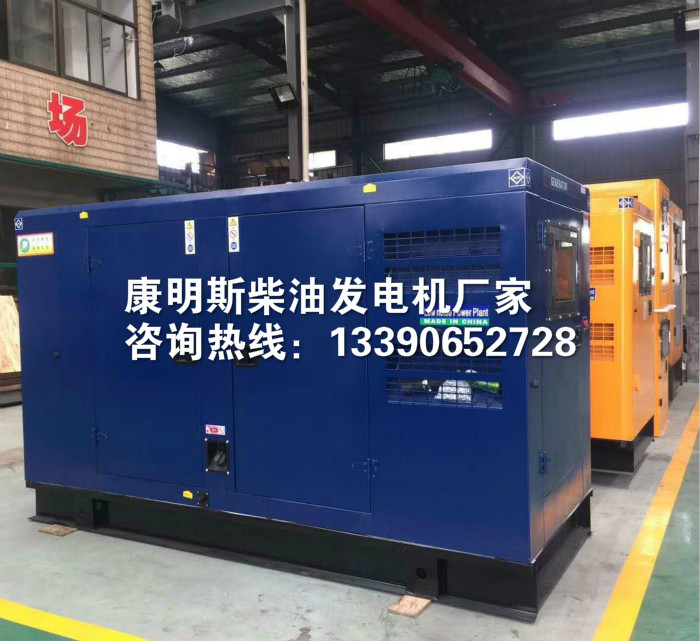 康明斯柴油發(fā)電機(jī)廠家江蘇雙馬