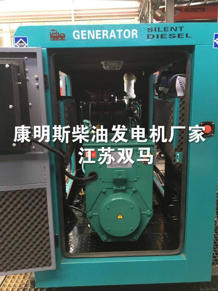 經(jīng)驗豐富的康明斯柴油發(fā)電機廠家