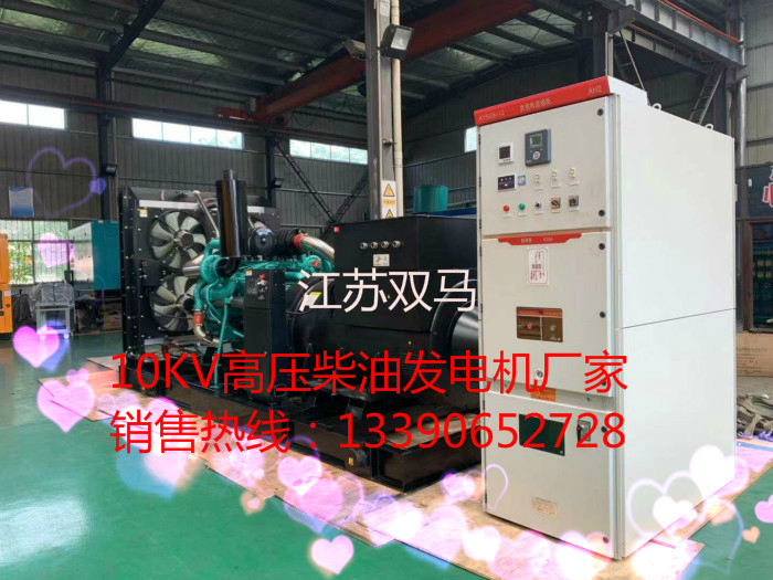 高壓柴油發(fā)電機廠家江蘇雙馬