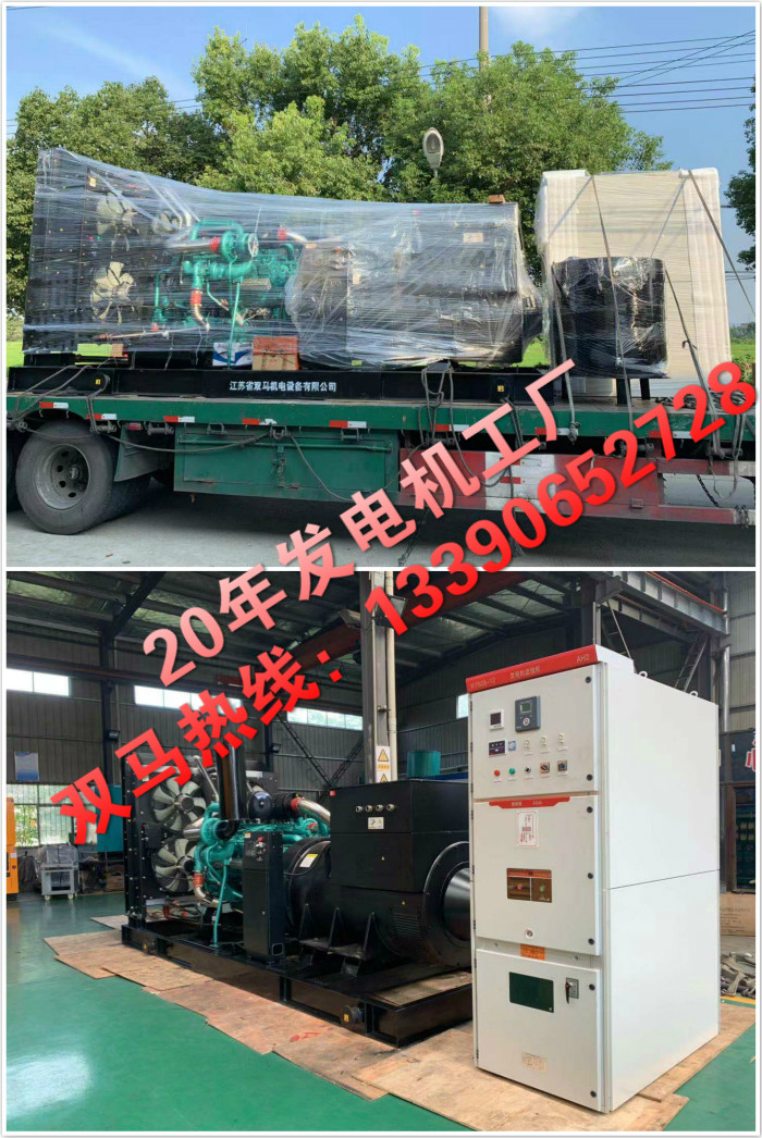 10Kv1000KW高壓機(jī)組 雙馬發(fā)電機(jī)組廠家
