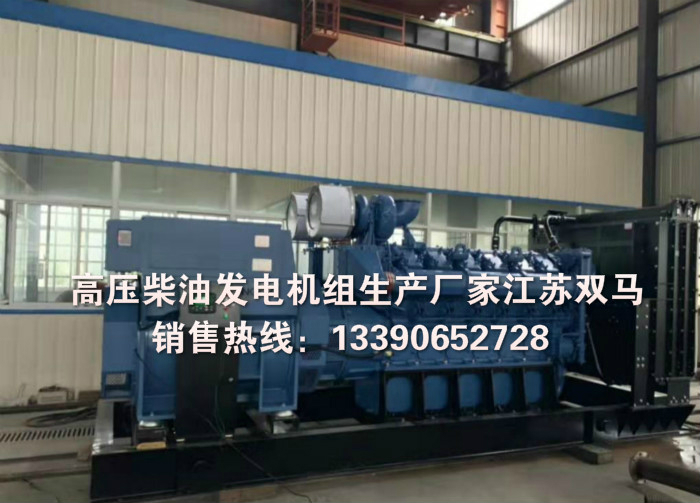 高壓柴油發(fā)電機(jī)組廠家實(shí)拍