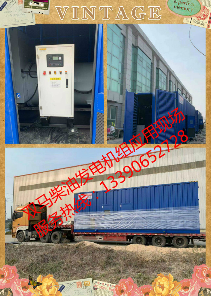 雙馬柴油發(fā)電機組新疆阿克蘇項目現場實拍 _meitu_2
