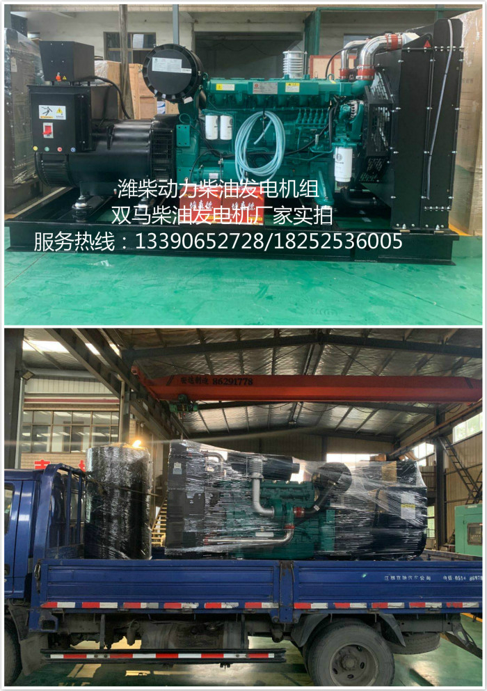 濰柴動(dòng)力柴油發(fā)電機(jī)廠家